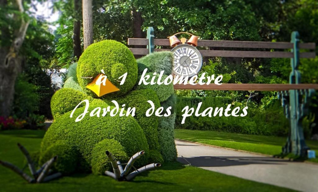 Le Nid Des Carmes Apartment Nantes Ngoại thất bức ảnh